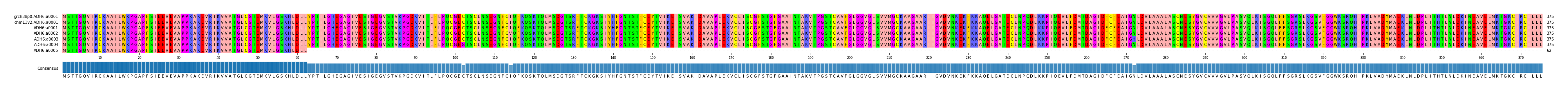 Multiple Alignments (by translate haplotype frequency)