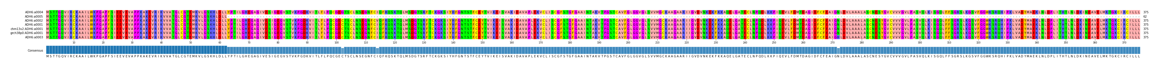 Multiple Alignments (by translate haplotype similarity)