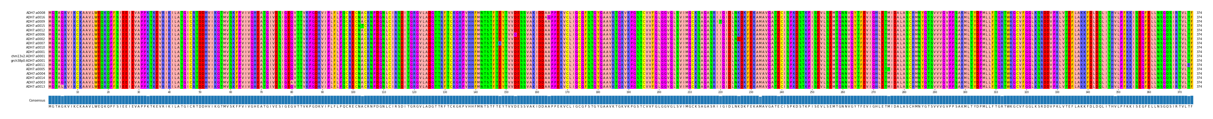 Multiple Alignments (by translate haplotype similarity)