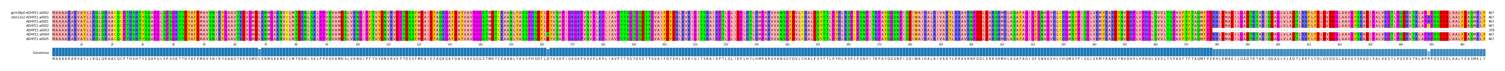 Multiple Alignments (by translate haplotype frequency)