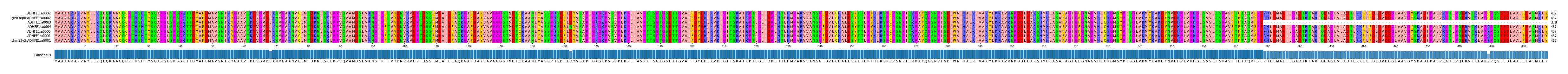 Multiple Alignments (by translate haplotype similarity)