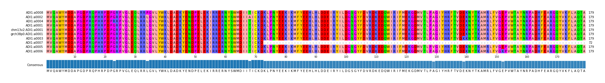 Multiple Alignments (by translate haplotype similarity)