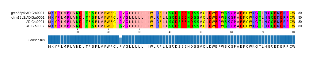 Multiple Alignments (by translate haplotype similarity)