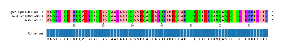 Multiple Alignments (by translate haplotype similarity)