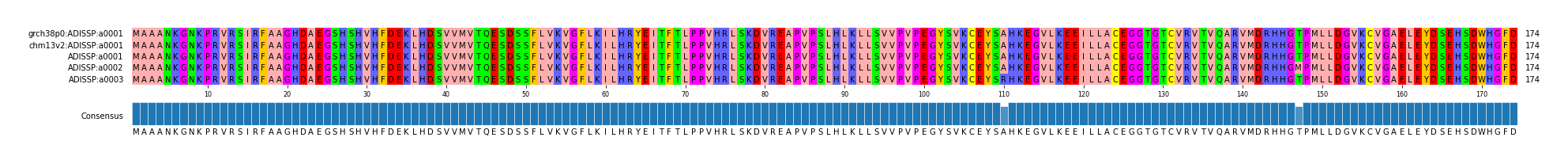Multiple Alignments (by translate haplotype frequency)