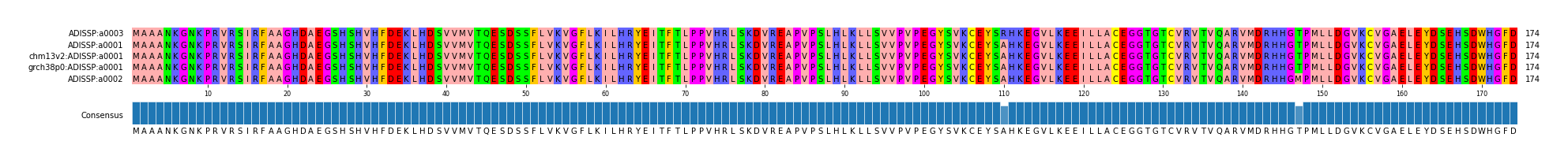 Multiple Alignments (by translate haplotype similarity)