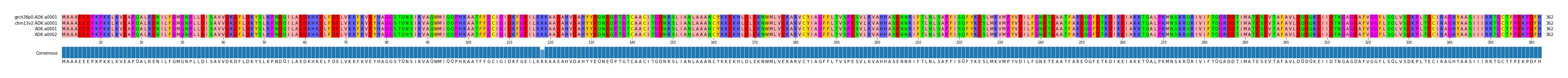 Multiple Alignments (by translate haplotype similarity)