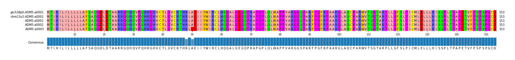 Multiple Alignments (by translate haplotype frequency)
