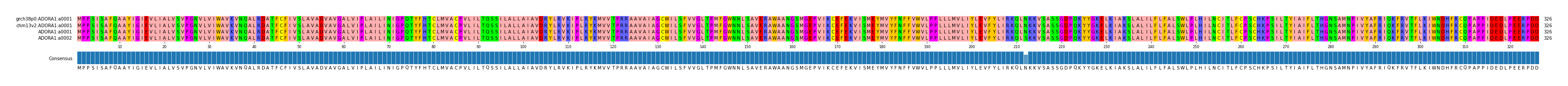 Multiple Alignments (by translate haplotype similarity)