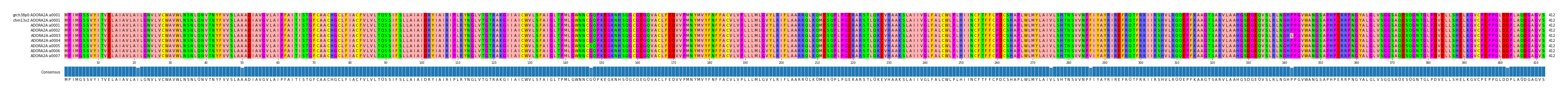 Multiple Alignments (by translate haplotype frequency)
