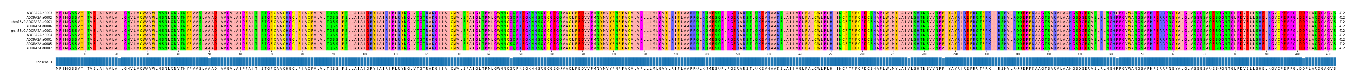 Multiple Alignments (by translate haplotype similarity)