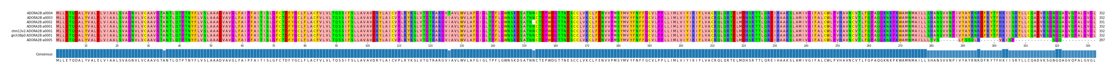 Multiple Alignments (by translate haplotype similarity)