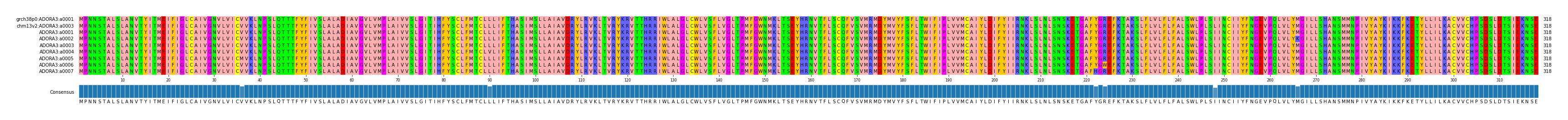 Multiple Alignments (by translate haplotype frequency)