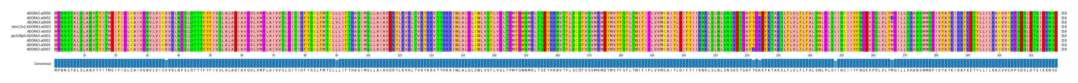 Multiple Alignments (by translate haplotype similarity)
