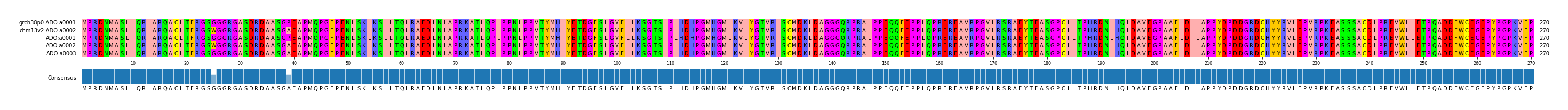 Multiple Alignments (by translate haplotype frequency)