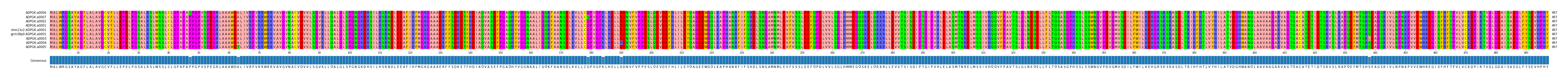 Multiple Alignments (by translate haplotype similarity)