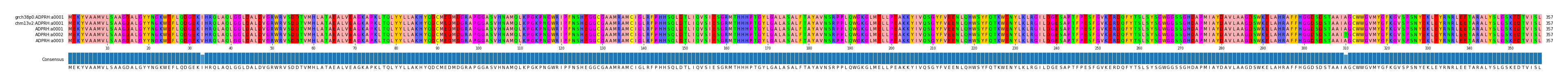 Multiple Alignments (by translate haplotype frequency)