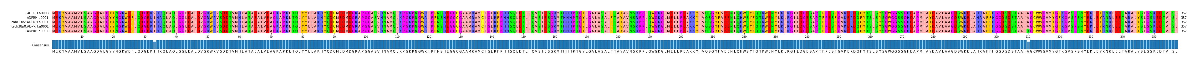 Multiple Alignments (by translate haplotype similarity)