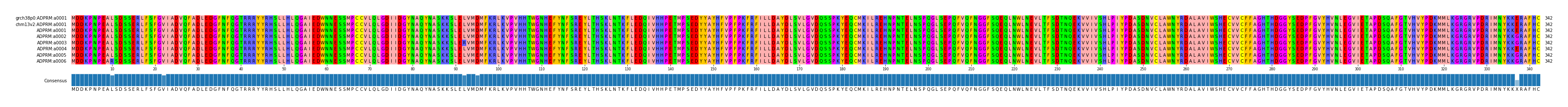 Multiple Alignments (by translate haplotype frequency)