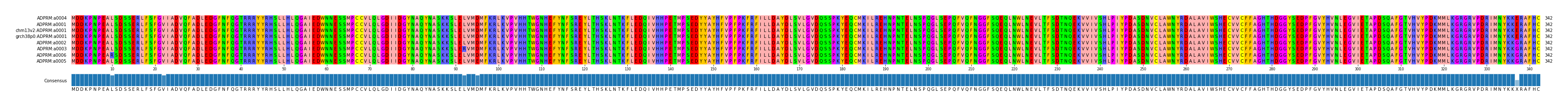 Multiple Alignments (by translate haplotype similarity)