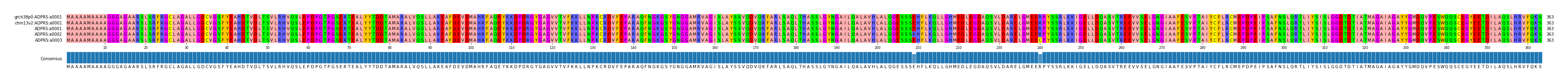 Multiple Alignments (by translate haplotype frequency)