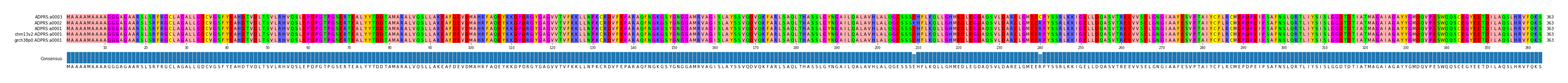 Multiple Alignments (by translate haplotype similarity)