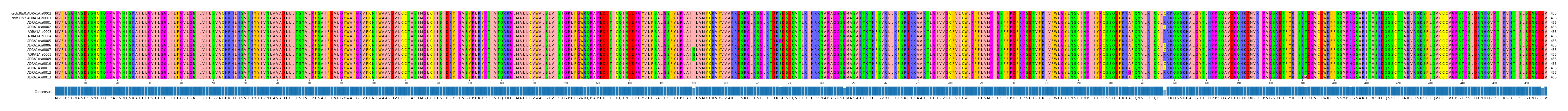 Multiple Alignments (by translate haplotype frequency)