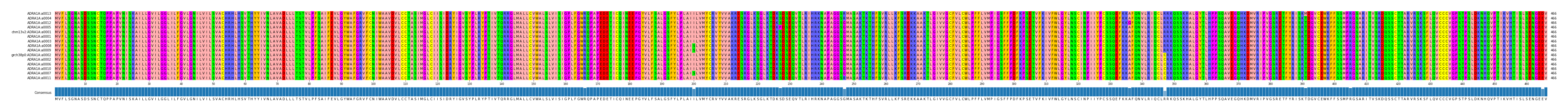 Multiple Alignments (by translate haplotype similarity)