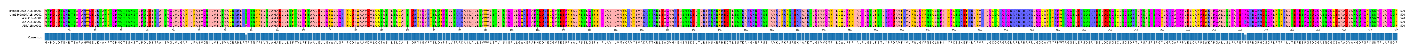 Multiple Alignments (by translate haplotype frequency)