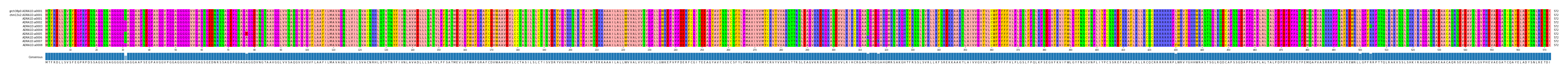 Multiple Alignments (by translate haplotype frequency)