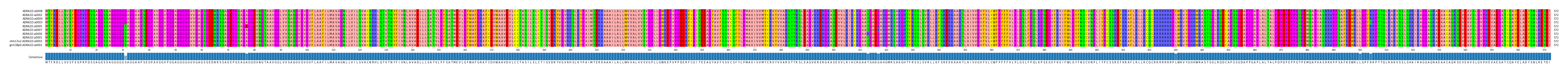 Multiple Alignments (by translate haplotype similarity)
