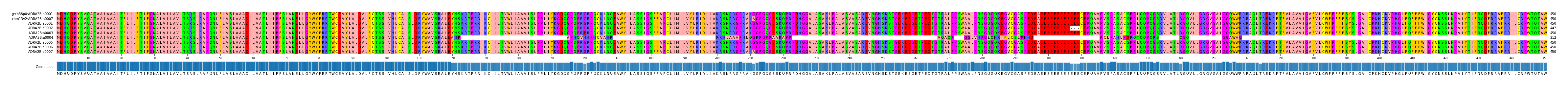 Multiple Alignments (by translate haplotype frequency)