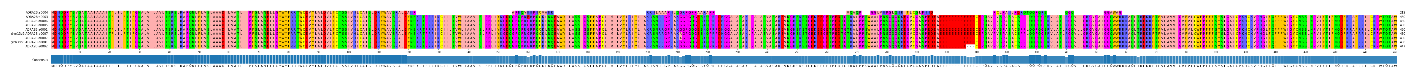Multiple Alignments (by translate haplotype similarity)