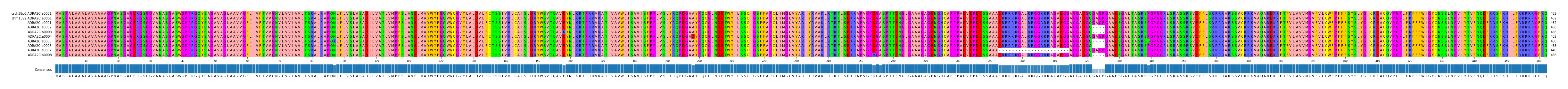 Multiple Alignments (by translate haplotype frequency)