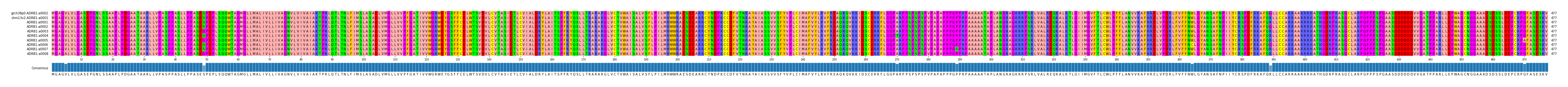 Multiple Alignments (by translate haplotype frequency)