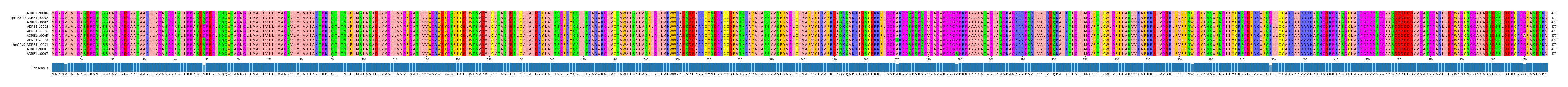 Multiple Alignments (by translate haplotype similarity)