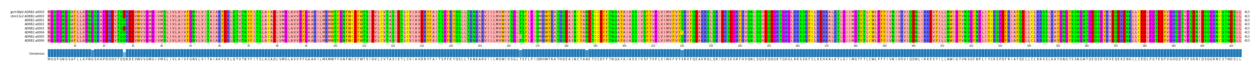 Multiple Alignments (by translate haplotype frequency)