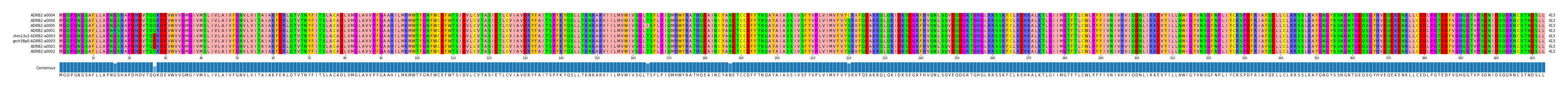 Multiple Alignments (by translate haplotype similarity)