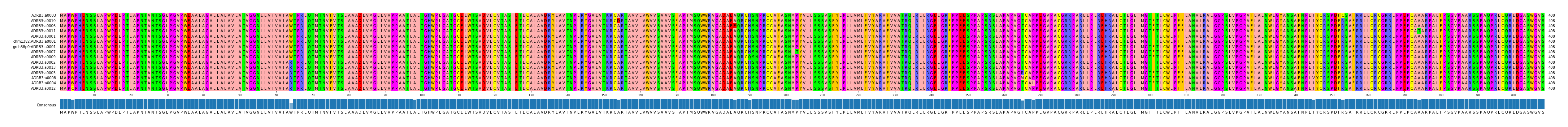 Multiple Alignments (by translate haplotype similarity)