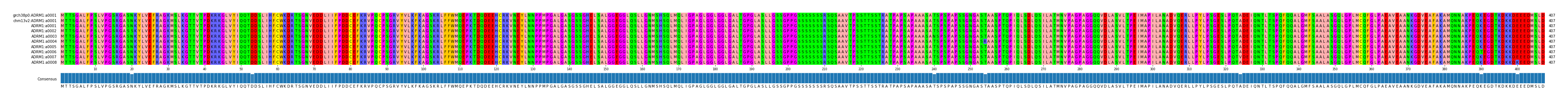 Multiple Alignments (by translate haplotype frequency)