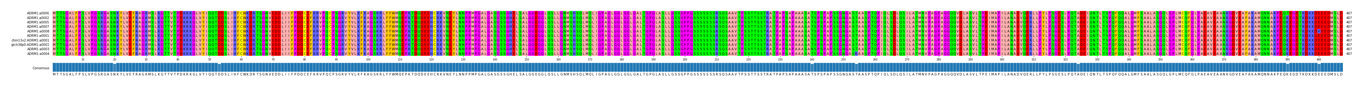 Multiple Alignments (by translate haplotype similarity)