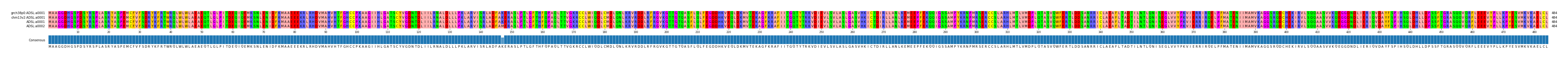 Multiple Alignments (by translate haplotype similarity)