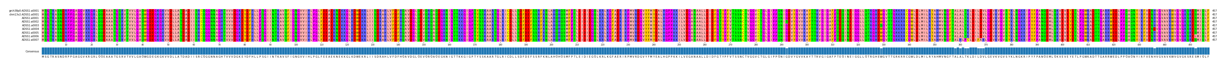 Multiple Alignments (by translate haplotype frequency)