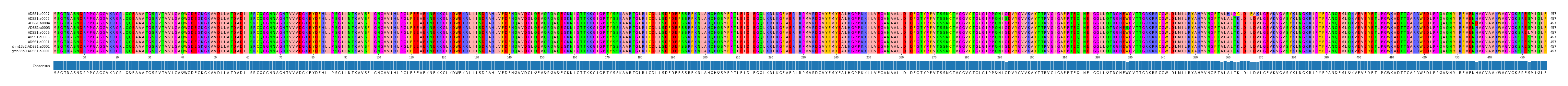 Multiple Alignments (by translate haplotype similarity)