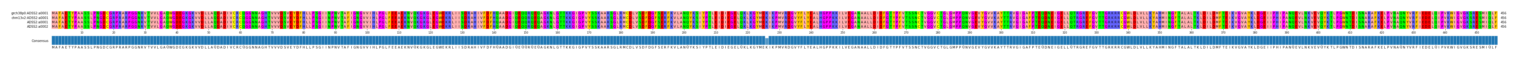 Multiple Alignments (by translate haplotype similarity)
