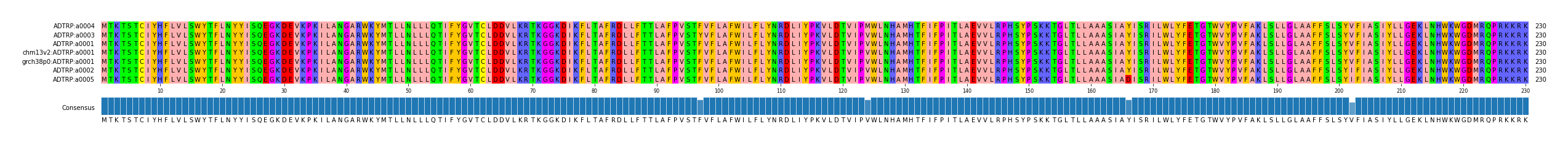 Multiple Alignments (by translate haplotype similarity)