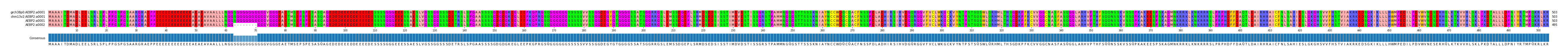 Multiple Alignments (by translate haplotype similarity)