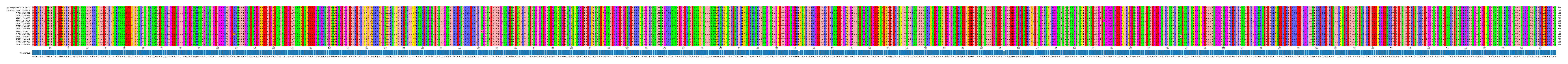 Multiple Alignments (by translate haplotype frequency)