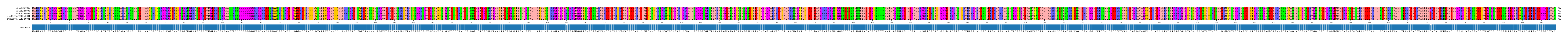 Multiple Alignments (by translate haplotype similarity)
