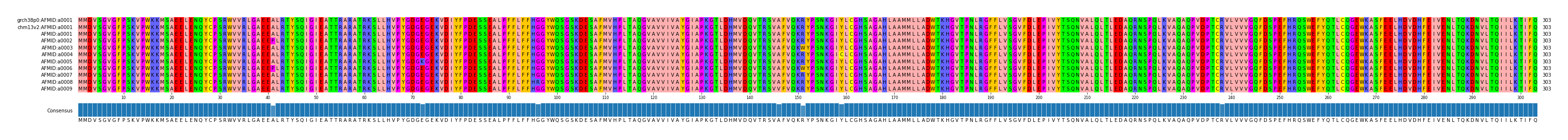 Multiple Alignments (by translate haplotype frequency)